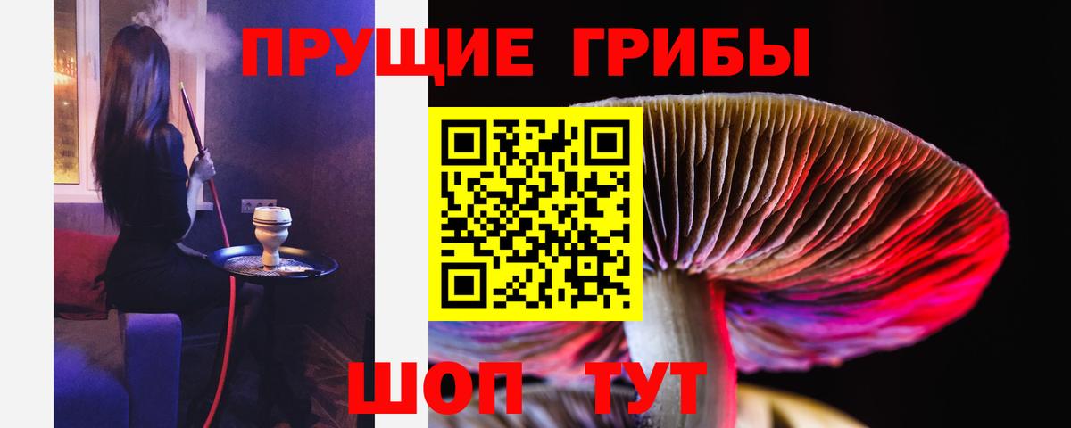 Галлюциногенные грибы Psilocybe Электрогорск
