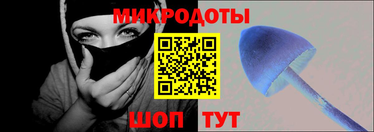 Псилоцибиновые грибы мухоморы  Псилоцибиновые грибы Cubensis  Электрогорск  Вход с VPN 